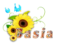 BASIA-2011-AL_28329.png