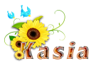 Kasia-2011-AL_28329.png