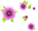 fiol-kwiat.png